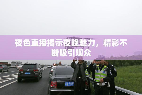 夜色直播揭示夜晚魅力，精彩不断吸引观众