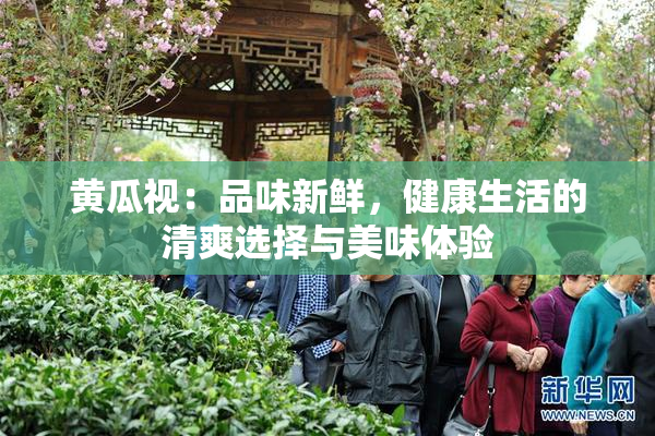 黄瓜视：品味新鲜，健康生活的清爽选择与美味体验
