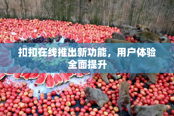 扣扣在线推出新功能，用户体验全面提升