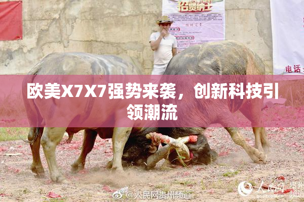 欧美X7X7强势来袭，创新科技引领潮流