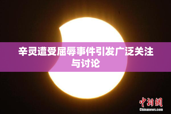 辛灵遭受屈辱事件引发广泛关注与讨论