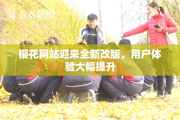 樱花网站迎来全新改版，用户体验大幅提升