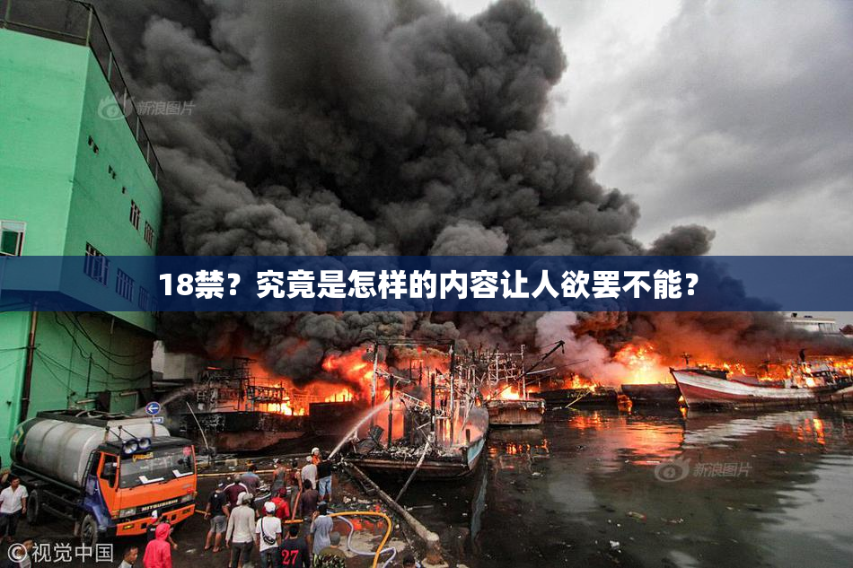 18禁？究竟是怎样的内容让人欲罢不能？