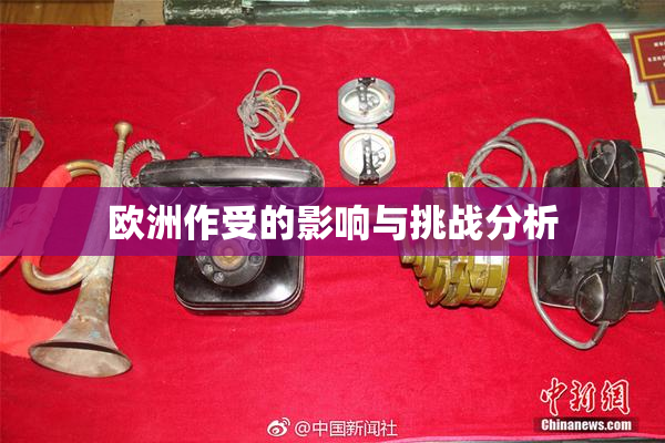 欧洲作受的影响与挑战分析
