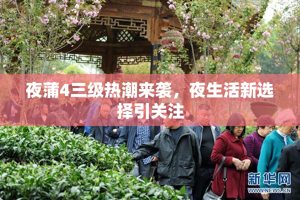 夜蒲4三级热潮来袭，夜生活新选择引关注