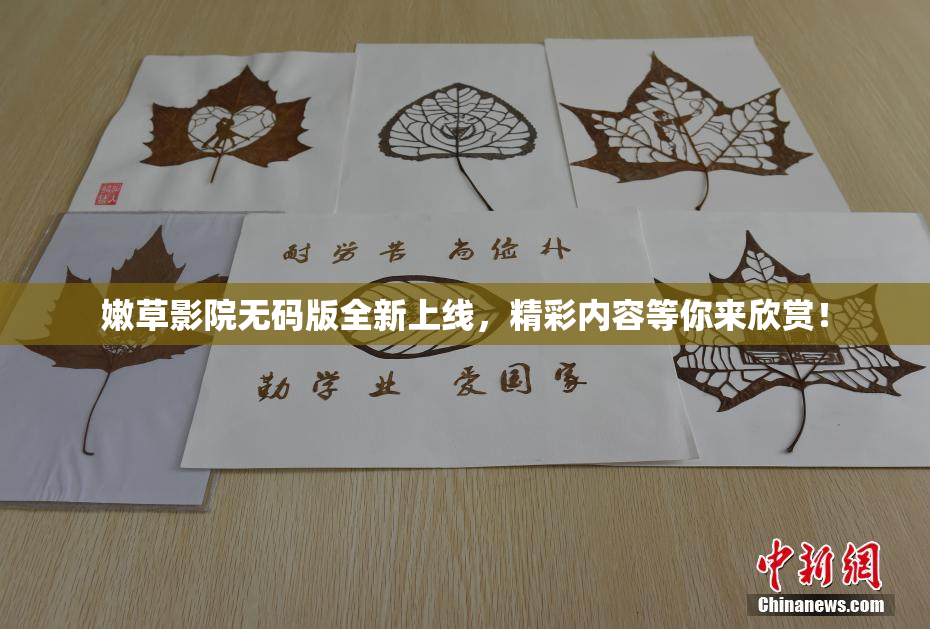 嫩草影院无码版全新上线，精彩内容等你来欣赏！