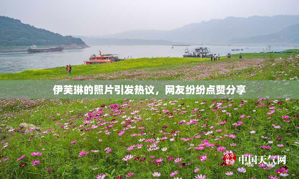 伊芙琳的照片引发热议，网友纷纷点赞分享