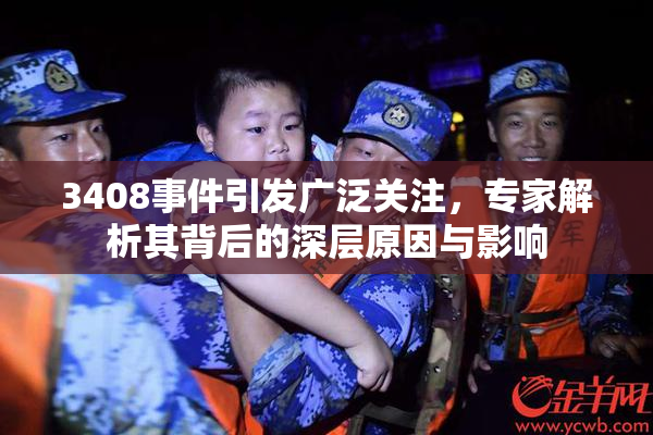 3408事件引发广泛关注，专家解析其背后的深层原因与影响
