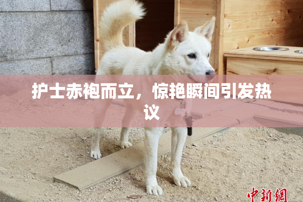 护士赤袍而立，惊艳瞬间引发热议