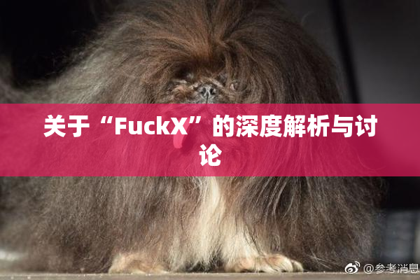 关于“FuckX”的深度解析与讨论