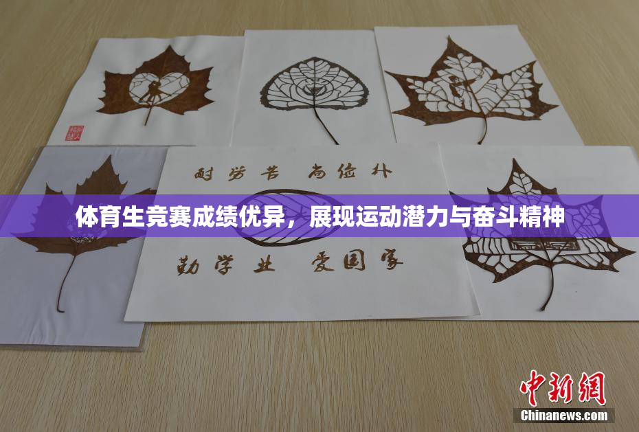 体育生竞赛成绩优异，展现运动潜力与奋斗精神