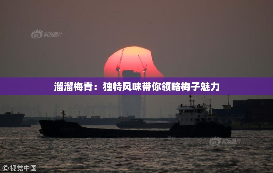 溜溜梅青：独特风味带你领略梅子魅力