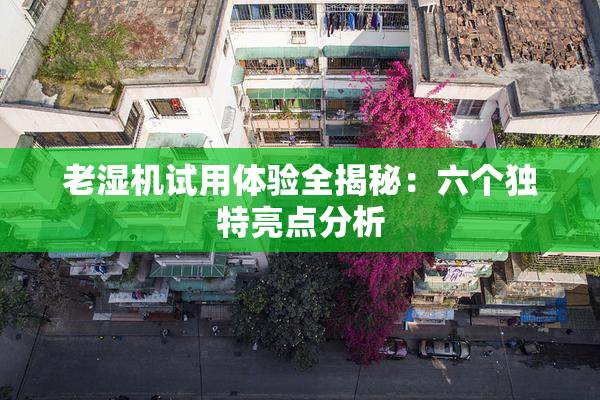 老湿机试用体验全揭秘：六个独特亮点分析