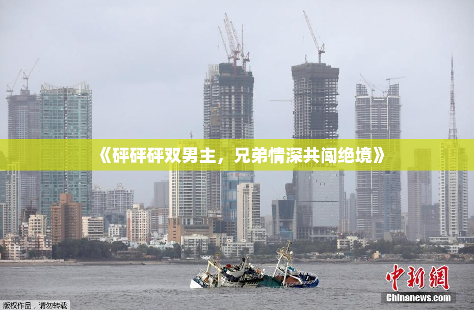 《砰砰砰双男主，兄弟情深共闯绝境》
