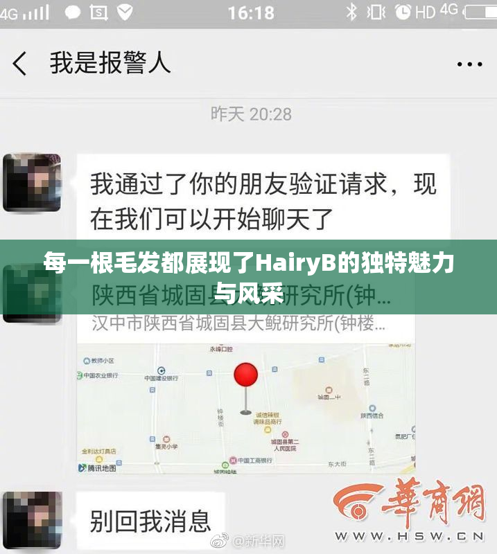 每一根毛发都展现了HairyB的独特魅力与风采