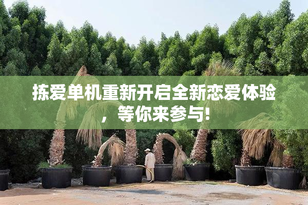 拣爱单机重新开启全新恋爱体验，等你来参与!
