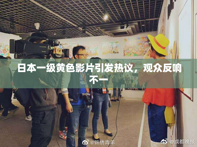 日本一级黄色影片引发热议，观众反响不一