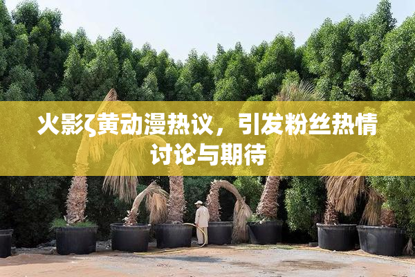 火影ζ黄动漫热议，引发粉丝热情讨论与期待