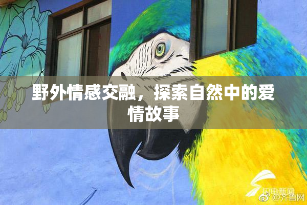 野外情感交融，探索自然中的爱情故事