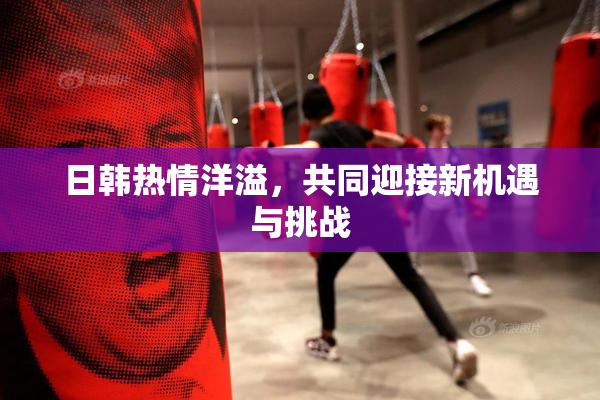 日韩热情洋溢，共同迎接新机遇与挑战