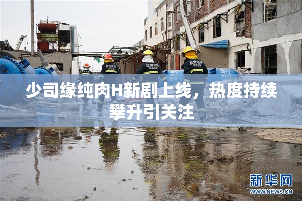 少司缘纯肉H新剧上线，热度持续攀升引关注