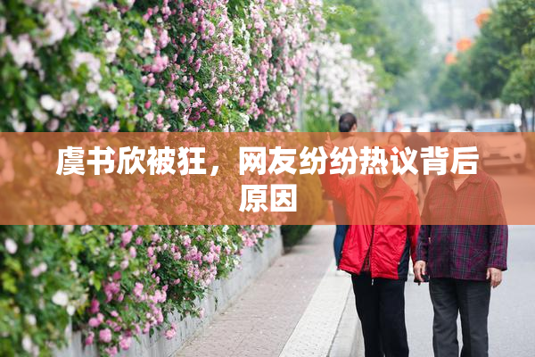 虞书欣被狂，网友纷纷热议背后原因