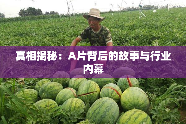 真相揭秘：A片背后的故事与行业内幕