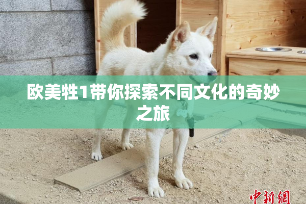 欧美牲1带你探索不同文化的奇妙之旅