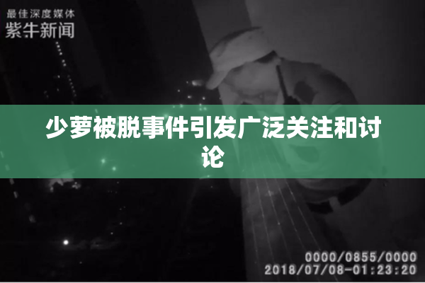 少萝被脱事件引发广泛关注和讨论