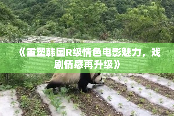 《重塑韩国R级情色电影魅力，戏剧情感再升级》