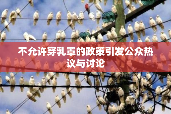 不允许穿乳罩的政策引发公众热议与讨论