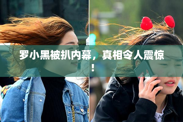 罗小黑被扒内幕，真相令人震惊！