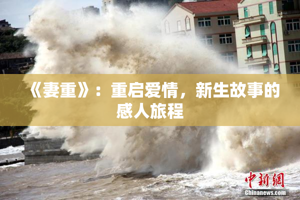 《妻重》：重启爱情，新生故事的感人旅程