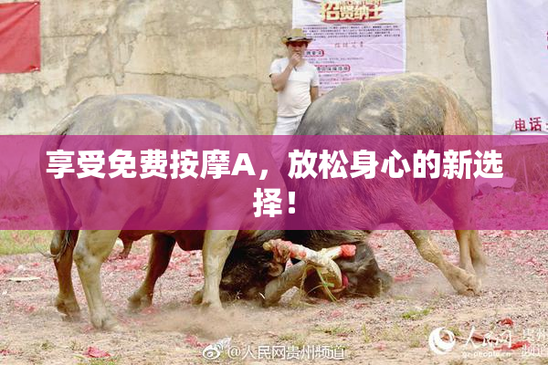 享受免费按摩A，放松身心的新选择！