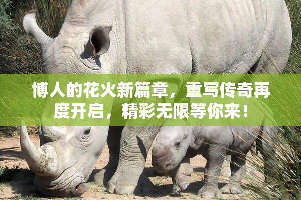 博人的花火新篇章，重写传奇再度开启，精彩无限等你来！