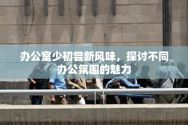 办公室少初尝新风味，探讨不同办公氛围的魅力