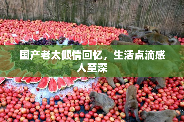 国产老太倾情回忆，生活点滴感人至深