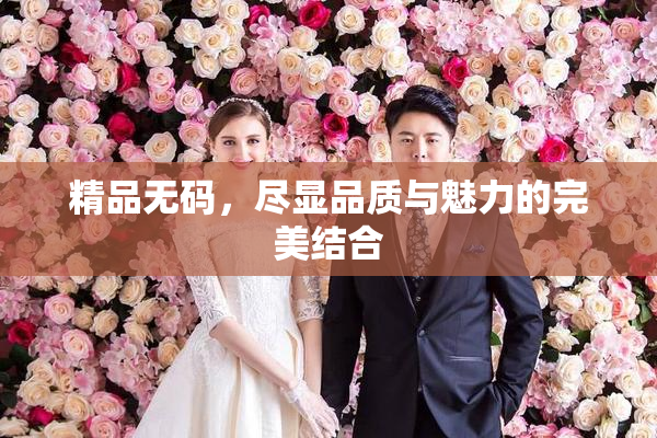 精品无码，尽显品质与魅力的完美结合