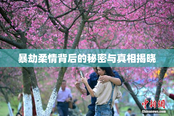 暴劫柔情背后的秘密与真相揭晓