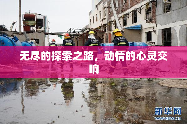 无尽的探索之路，动情的心灵交响