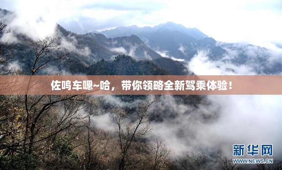 佐鸣车嗯~哈，带你领略全新驾乘体验！