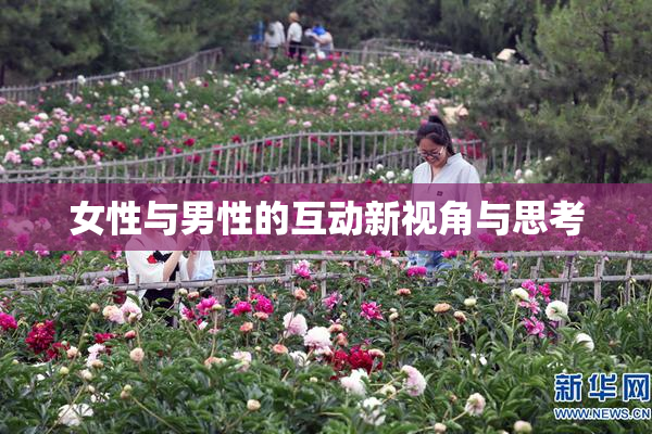 女性与男性的互动新视角与思考