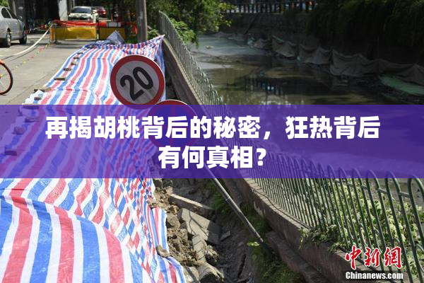 再揭胡桃背后的秘密，狂热背后有何真相？