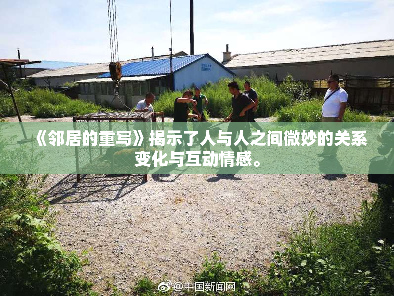 《邻居的重写》揭示了人与人之间微妙的关系变化与互动情感。
