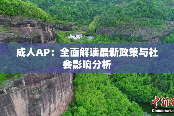 成人AP：全面解读最新政策与社会影响分析