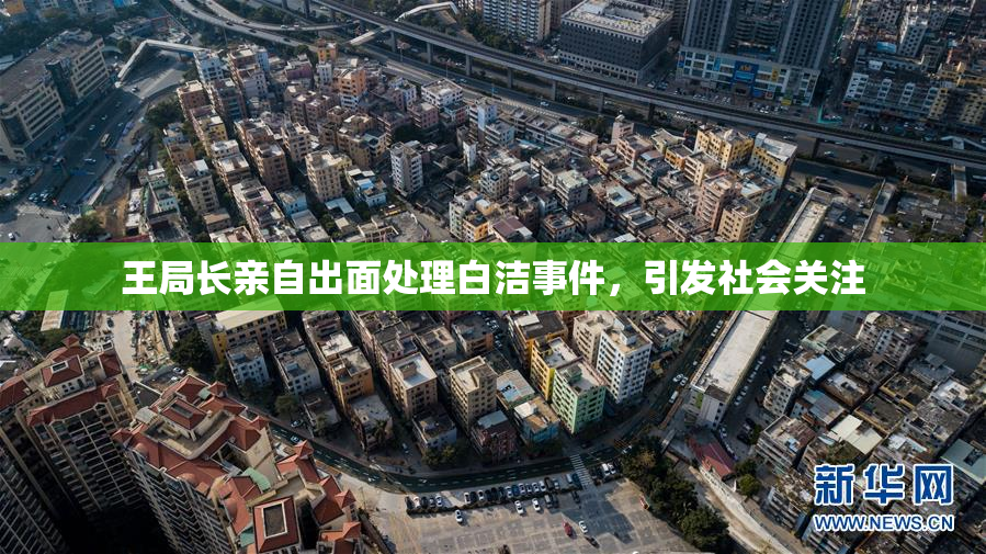 王局长亲自出面处理白洁事件，引发社会关注
