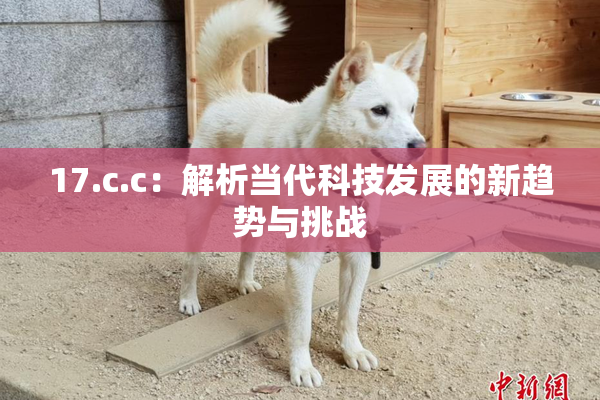 17.c.c：解析当代科技发展的新趋势与挑战