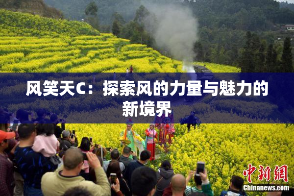风笑天C：探索风的力量与魅力的新境界