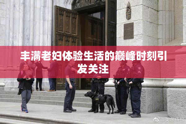 丰满老妇体验生活的巅峰时刻引发关注