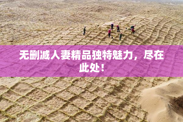 无删减人妻精品独特魅力，尽在此处！